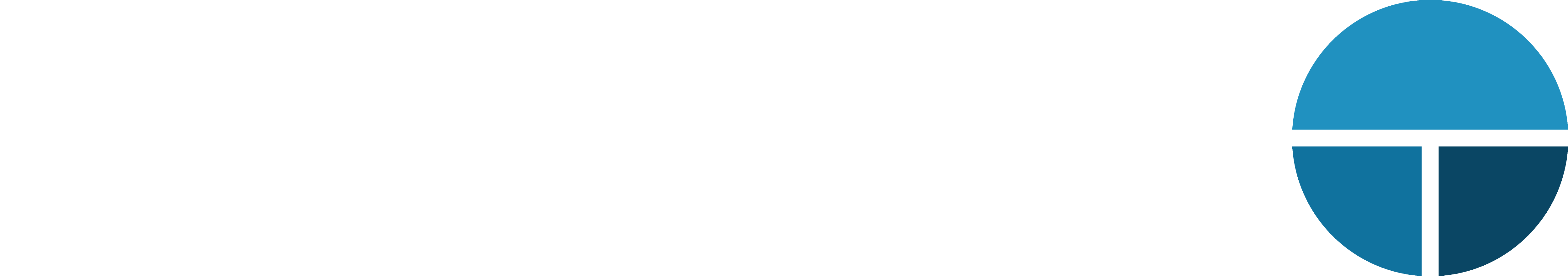 Controlsul